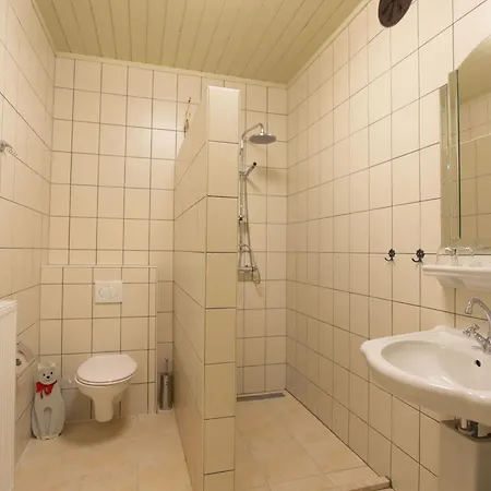 Koetshuis De Lange Hut Holiday home *
