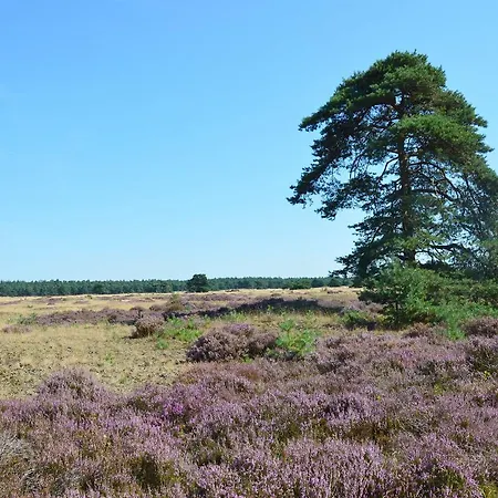 Holiday home Koetshuis De Lange Hut *