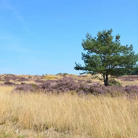 Koetshuis De Lange Hut *