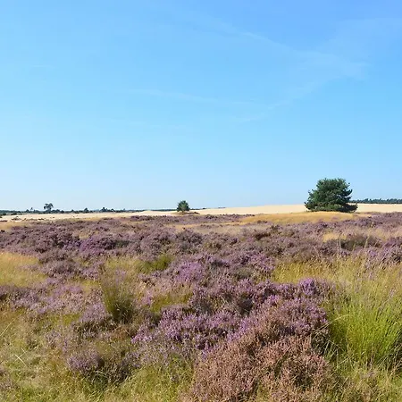 Koetshuis De Lange Hut