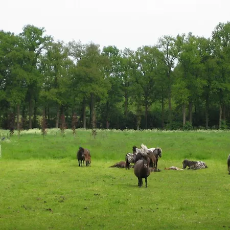 Koetshuis De Lange Hut Arnhem